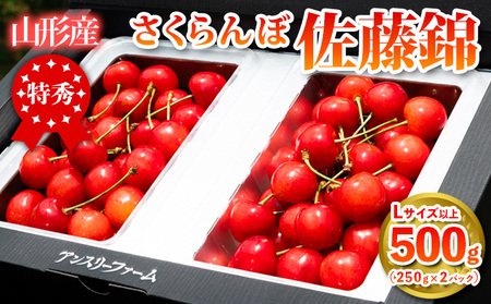  山形県産 さくらんぼ「佐藤錦」500g 特秀品 Lサイズ以上 【令和9年産先行予約】FS24-805