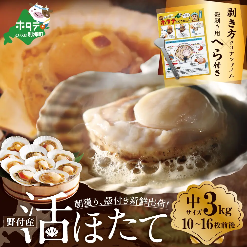朝どり 新鮮出荷 活ホタテ 中サイズ 3kg前後(10~16枚前後)