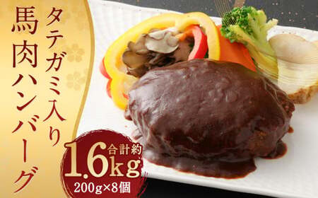FNタテガミ入り 馬肉 ハンバーグ（デミソース）8個セット 馬肉 お肉 惣菜 ハンバーグ タテガミ コウネ ソース付 お取り寄せ 簡単調理
