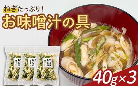 天栄村名産のねぎたっぷり！お味噌汁の具 40g×3パック F21T-323
