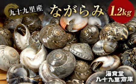ながらみ 魚介類 貝 幻の貝 九十九里産 ながらみ【1.2kg】【冷凍】