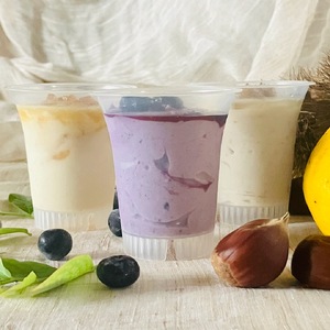 生チーズムース（綾フルーツミックス）白砂糖不使用♪_A0021-089