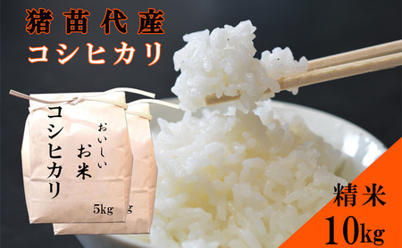 米 令和6年度産 コシヒカリ 10kg  白米 精米 生産者直送 直送