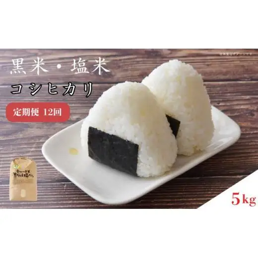 【定期便12回】黒米・塩米（コシヒカリ）約5kg
