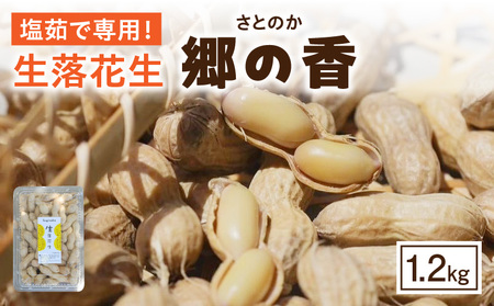 《2027年7月～発送》塩茹で専用！生落花生『300g×4パック』・S062-115