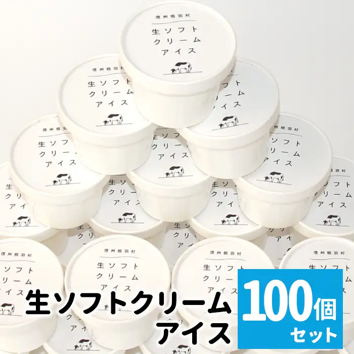 イベントやパーティにも◎生ソフトクリームアイス100個 80ml アイスクリーム ソフトクリーム スイーツ アイス デザート 根羽村 ネバーランド 60000円