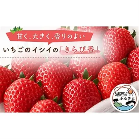 【静岡県産いちご】きらぴ香 280g×2パック_果物・フルーツ いちご  イチゴ 苺_【配送不可地域：離島・北海道・沖縄県・東北・中国・四国・九州】【1561173】