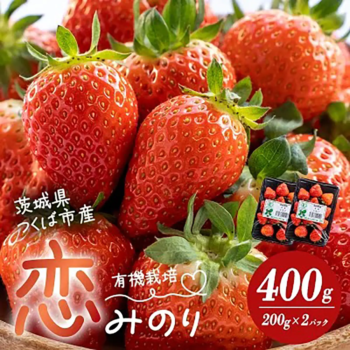 いちご 有機栽培 恋みのり 400g いちご　