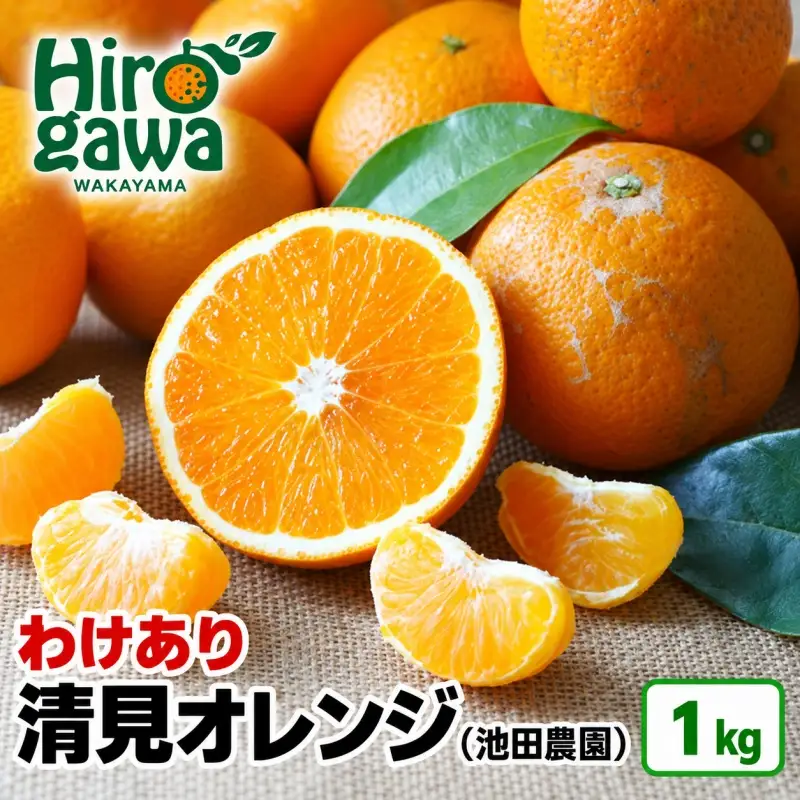 清見 オレンジ 1kg+250g 痛み補償分