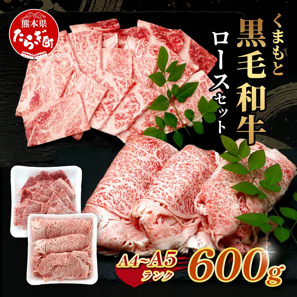 A4・A5 くまもと黒毛和牛 ロース セット 計600g ( すき焼き 300g / 焼肉 300g ) 本場 熊本県 ブランド 牛 黒毛 和牛 厳選 肉 上質 113-0506