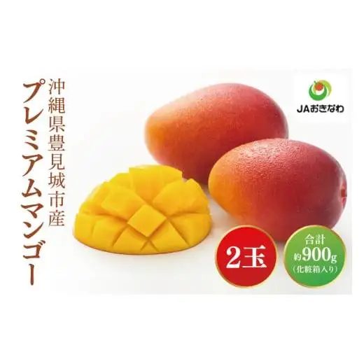 【先行受付】【2027年発送】豊見城産プレミアムマンゴー約900g（化粧）糖度15度保障 AE026