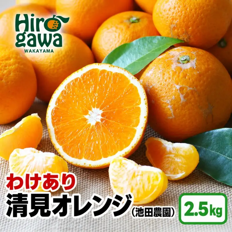 清見 オレンジ 2.5kg+250g 痛み補償分