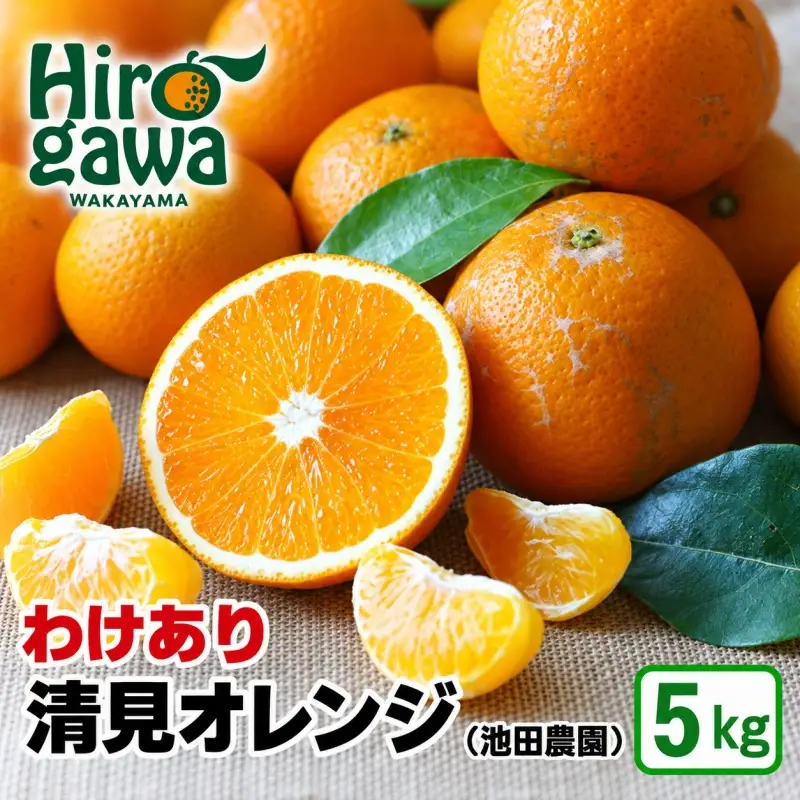 清見 オレンジ 5kg+250g 痛み補償分