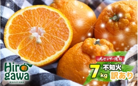 不知火（デコポン） 訳あり 7kg （サイズ混合） ※2027年2月中旬～4月中旬に順次発送予定 ※北海道・沖縄・離島への配送不可 / しらぬい 柑橘類 果物 和歌山 有田 広川【nuk010-noka-7】