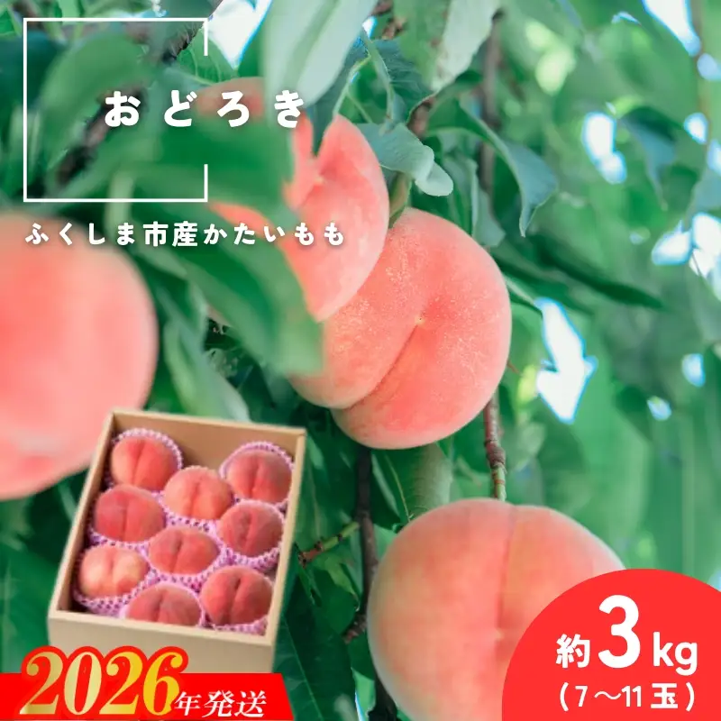 No.2988 固い桃 おどろき 約3kg(7～11玉)【2026発送】