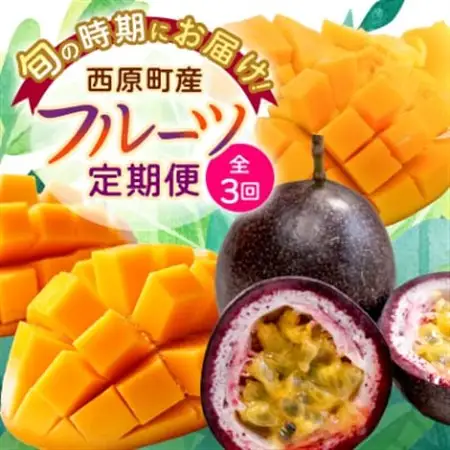 【発送月固定定期便】沖縄の豊かな自然で育ったフルーツ定期便全3回【配送不可地域：離島】【4058900】