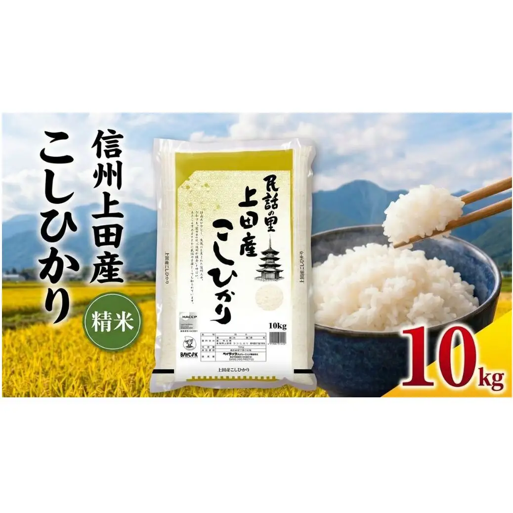 米 コシヒカリ 10kg お米 白米 精米 単一原料米 ブランド米 銘柄米 10キロ 令和7年産 長野県産 長野 長野県 上田市