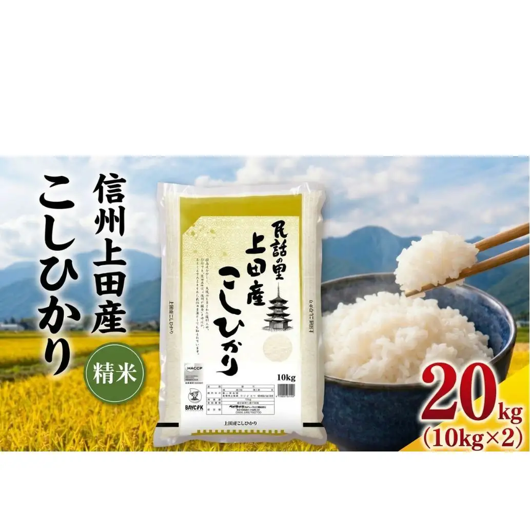 米 コシヒカリ 20kg (10kg×2袋) お米 白米 精米 単一原料米 ブランド米 銘柄米 20キロ 令和7年産 長野県産 長野 長野県 上田市