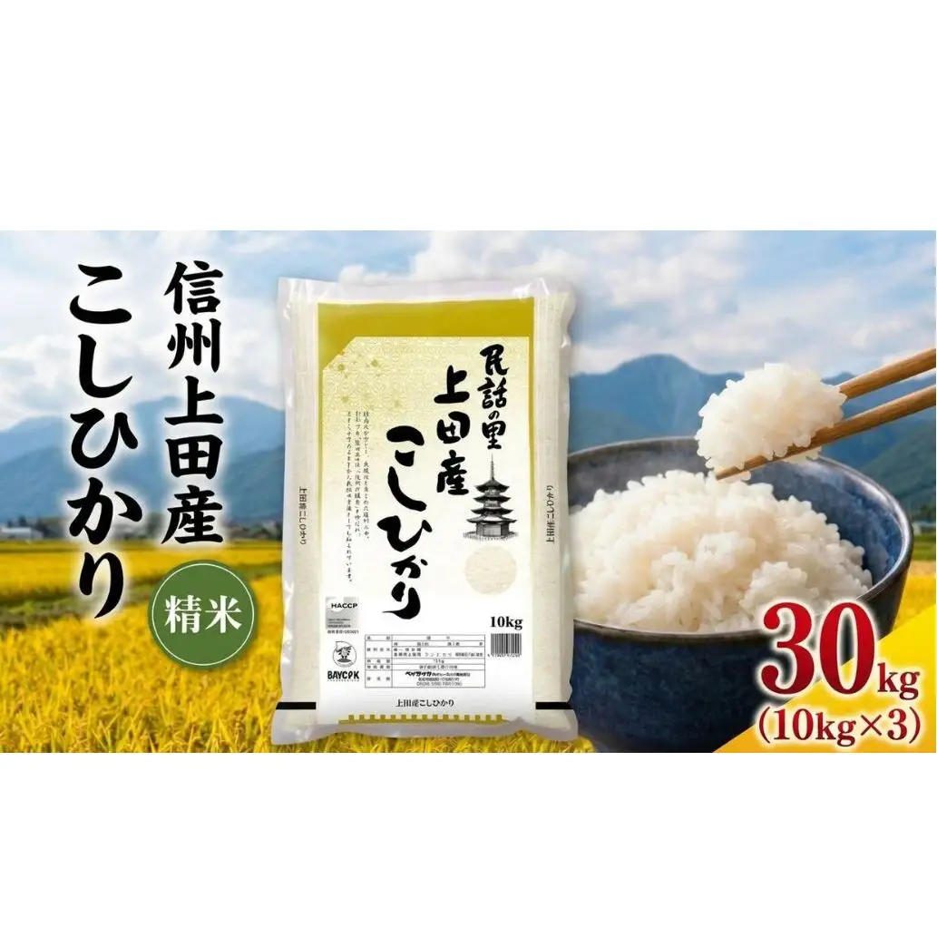 米 コシヒカリ 30kg (10kg×3袋) お米 白米 精米 単一原料米 ブランド米 銘柄米 30キロ 令和7年産 長野県産 長野 長野県 上田市