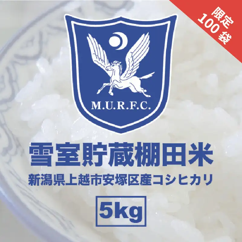 コシヒカリ 雪室 棚田米 5kg 明大ラグビー部 コシヒカリ
