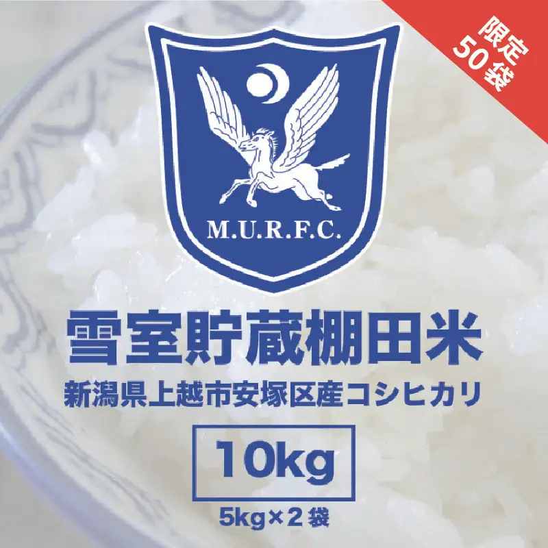 コシヒカリ 雪室 棚田米 10kg 明大ラグビー部 コシヒカリ