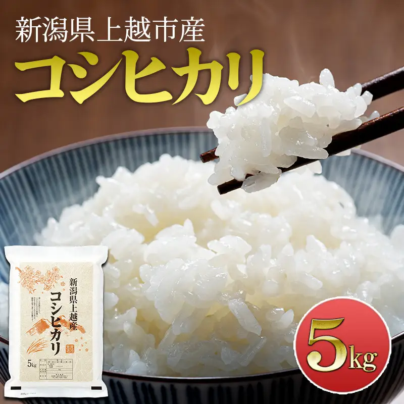 先行予約 令和8年産 新潟県上越市産 コシヒカリ 5kg 米 こしひかり ご飯 精米 お米 新潟 橋本農場