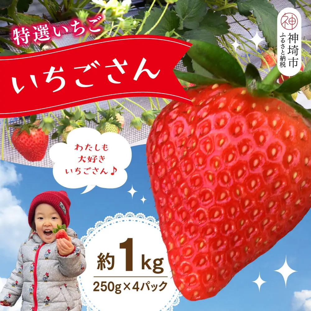 【先行受付 令和9年1月下旬より発送】特選いちご(いちごさん) 250g×4パック(H101107)