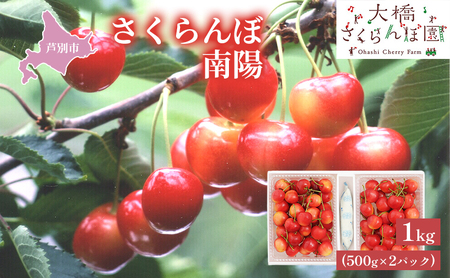 【 先行受付 】さくらんぼ 南陽1kg（500g×2パック）高級 サクランボ