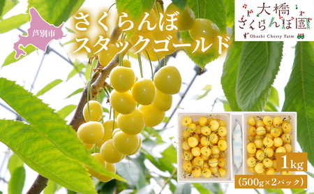 先行受付 さくらんぼ スタックゴールド1kg（500g×2パック）
