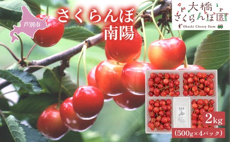 先行受付 さくらんぼ 赤 南陽 2kg（500g×4パック）高級