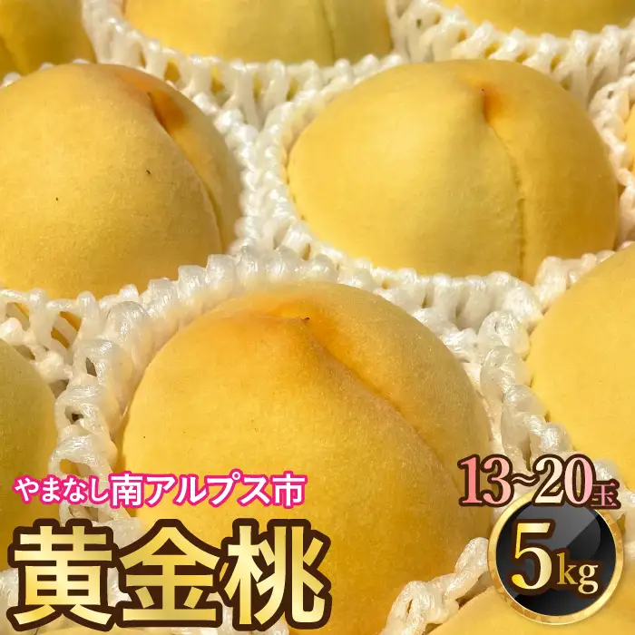 ＜2026年発送分先行予約＞山梨県南アルプス市産　高糖度　黄金桃　【約5ｋｇ　13～20玉】 ALPAH046