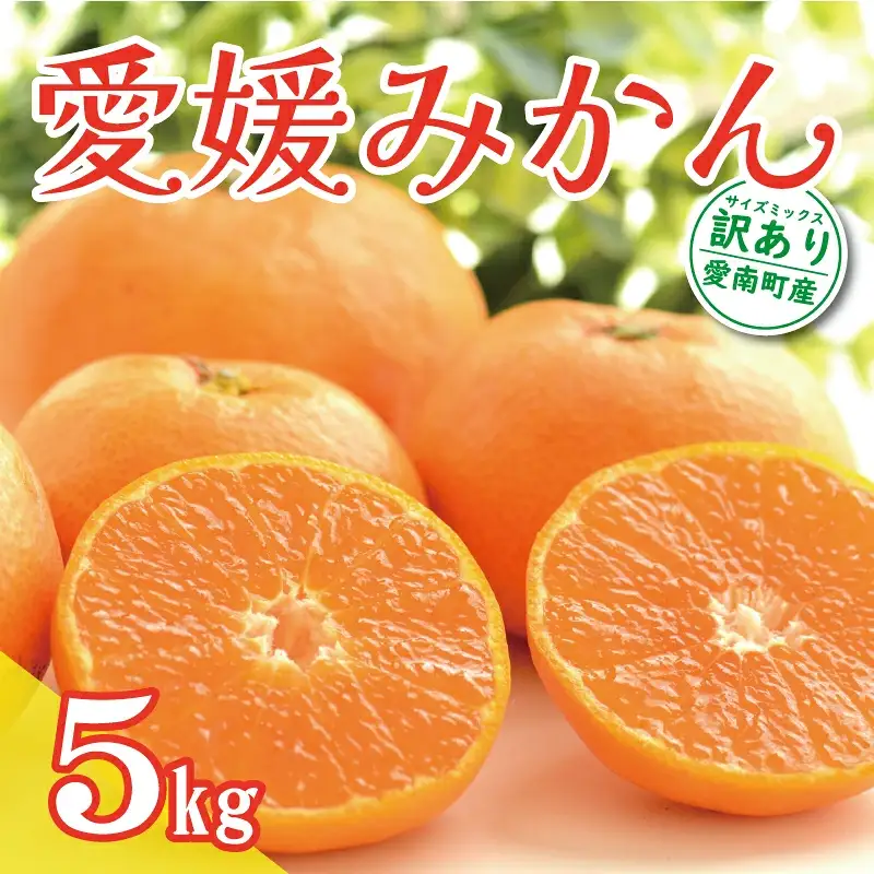 訳あり 愛媛 みかん 5kg