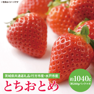 【茨城県共通返礼品/ 行方市産・水戸市産】【2027年1月中旬より順次発送】いちご 「とちおとめ」 約260gパック×4【イチゴ 苺 フルーツ 果物 甘い 大粒】(CS102)