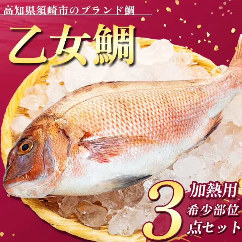 【 スピード配送 】 ブランド 真鯛 希少部位 カマ 頭 フィーレ 3点セット  高知県 須崎市 KS016-3x