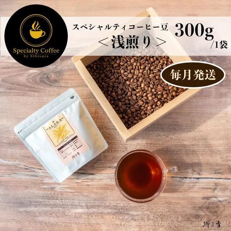 スペシャルティコーヒー焙煎豆 浅煎り 300g 定期便 全12回 12か月【毎月配送コース】