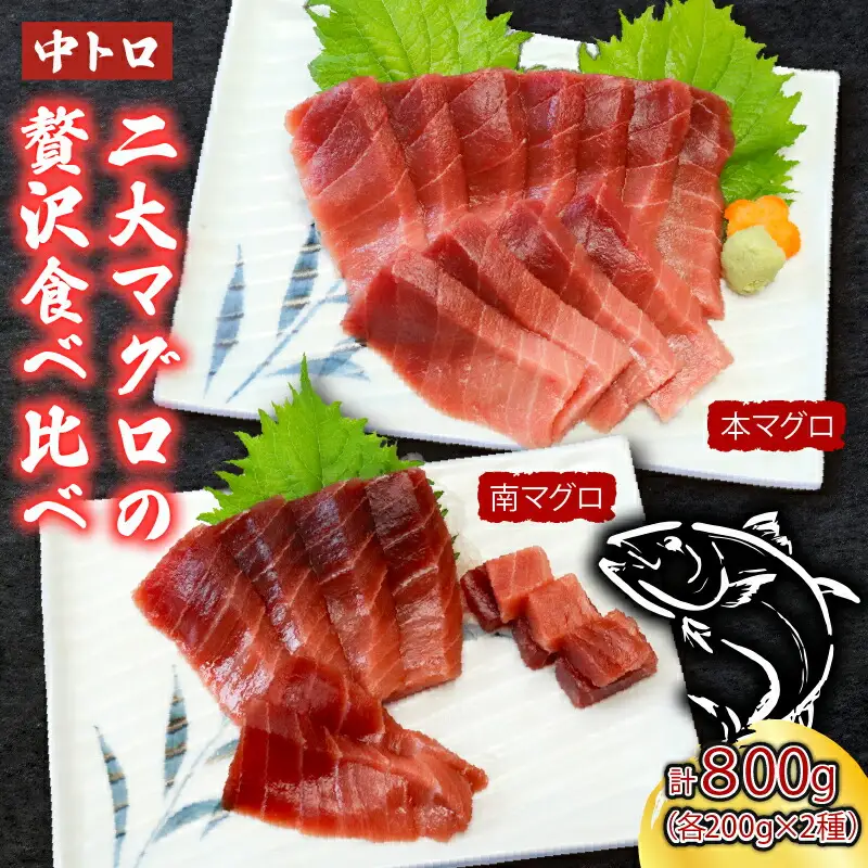 天然 本まぐろ 南まぐろ中トロ（800g） [eb023]