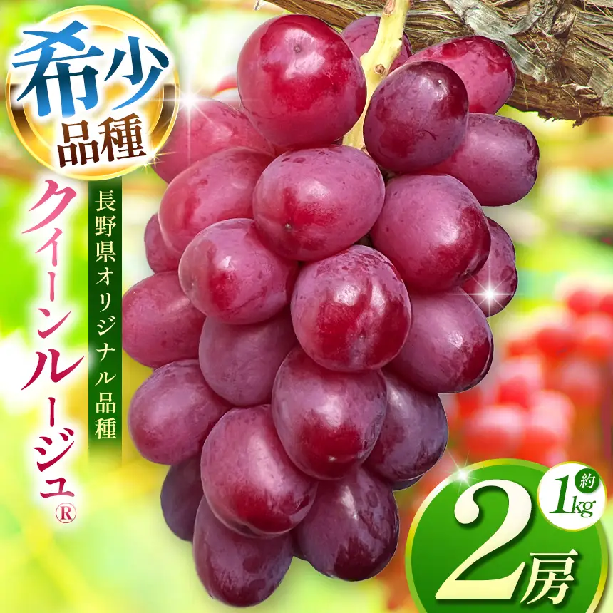 【2026年先行予約】 クイーンルージュ® 2房 【9月下旬～11月上旬にかけて順次発送予定】 