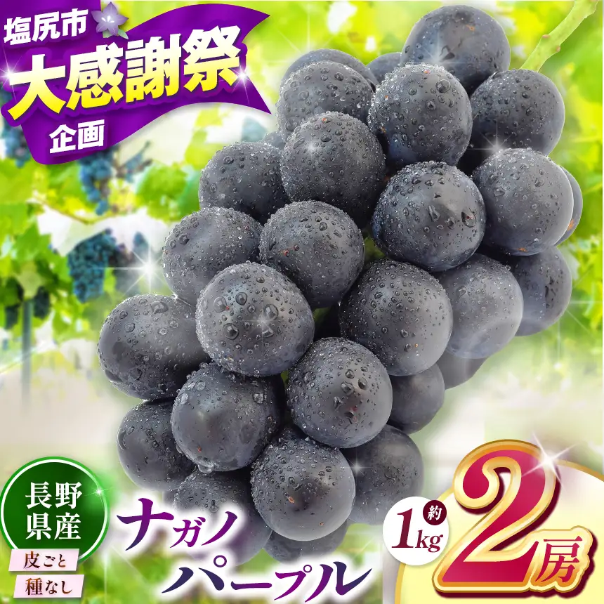 【2026年先行予約】 ナガノパープル（2房）【9月上旬～10月下旬にかけて順次発送予定】 