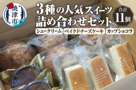 人気スイーツ詰め合わせセット 3種 11個 (a10-1142)