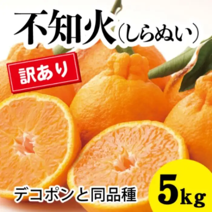 みかん 柑橘【先行受付】【2027年3月以降発送】甘さ抜群訳ありしらぬい！デコちゃん【デコポンと同品種】＜約5kg＞ 広島 三原 佐木島 鷺島みかんじま 017048 