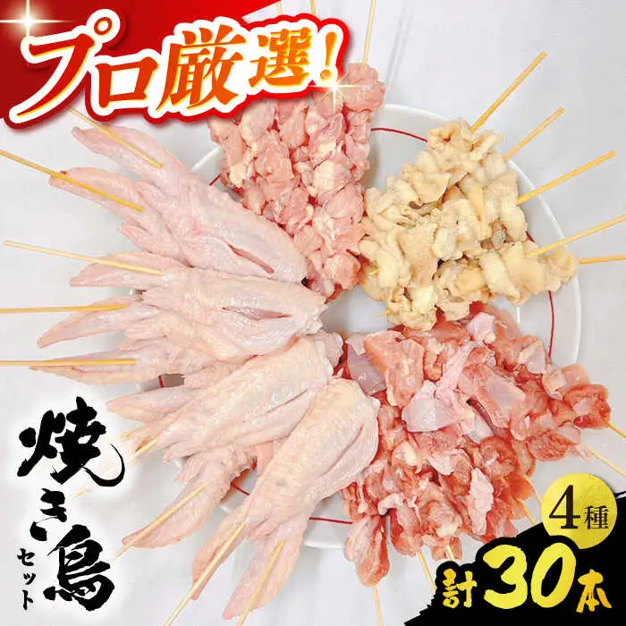【旨味凝縮！】九州産 鶏三昧 焼き鳥セット 4種類 30本 / やきとり ヤキトリ 焼鳥 串セット 国産 冷凍 小分け / 南島原市 / ふるさと企画[SBA076]