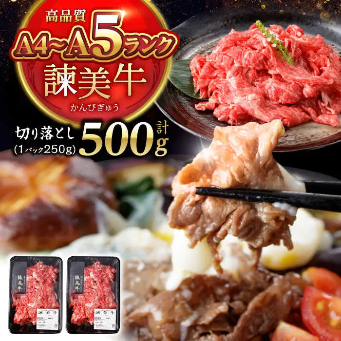 【特Aのブランド米で育てた】諫美牛 切り落とし 500g(250g×2) / 牛肉 ぎゅうにく 和牛 牛 肉 国産 切り落とし 切り落し 切りおとし / 諫早市 / 株式会社土井農場 [AHAD090]
