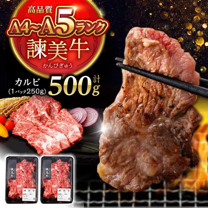 【特Aのブランド米で育てた】諫美牛 カルビ 500g(250g×2) / 牛肉 ぎゅうにく 和牛 牛 肉 国産 かるび 焼肉 やきにく / 諫早市 / 株式会社土井農場 [AHAD091]