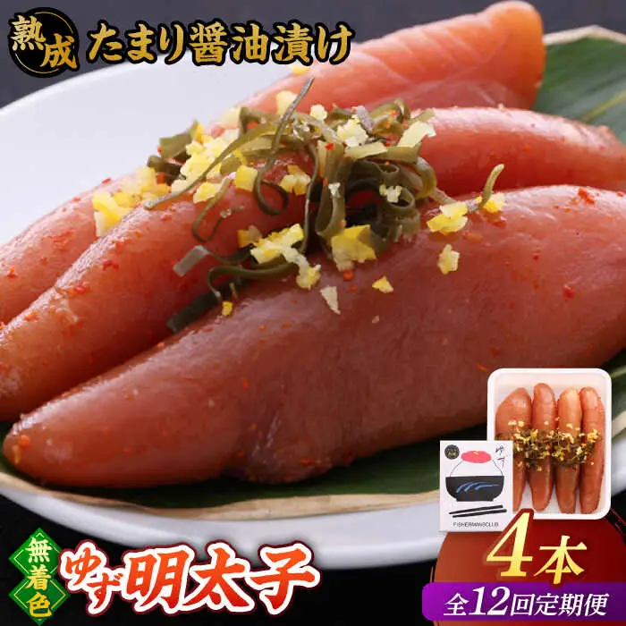 【全12回定期便】熟成 たまり醤油漬け 無着色 ゆず明太子 4本入り(280g)桂川町/有限会社フィッシャーマンズクラブ 明太子 めんたい [ADBO050] 明太子 柚子明太子 ゆずめんたいこ 柚子めんたい 定期便