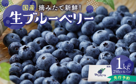 【2026年発送】 先行予約 国産 ブルーベリー 1kg フルーツ ベリー 果物 小分け  080-01