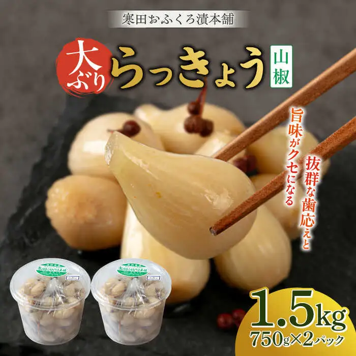 らっきょう 1.5kg（山椒） [ABDO004]