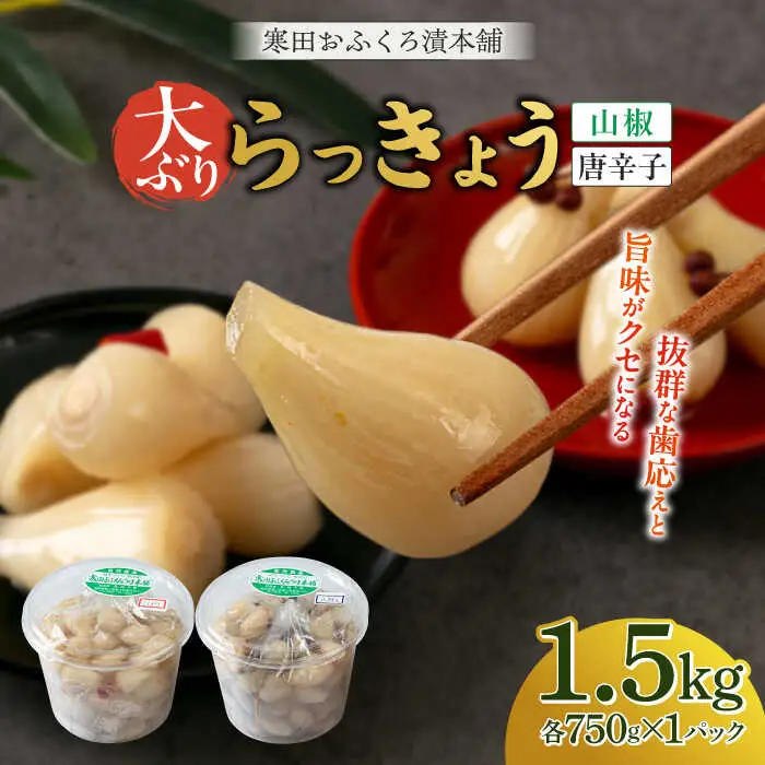 らっきょう 1.5kg（唐辛子750g・山椒750g）らっきょ ラッキョウ 辣韭 [ABDO005]
