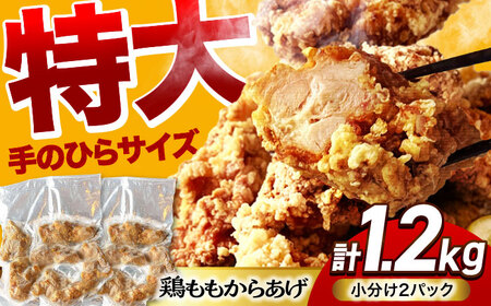 からあげ 1.2kg 小分け2パック【加登屋食堂】名物 冷凍からあげ 鶏モモ[MGQ001]