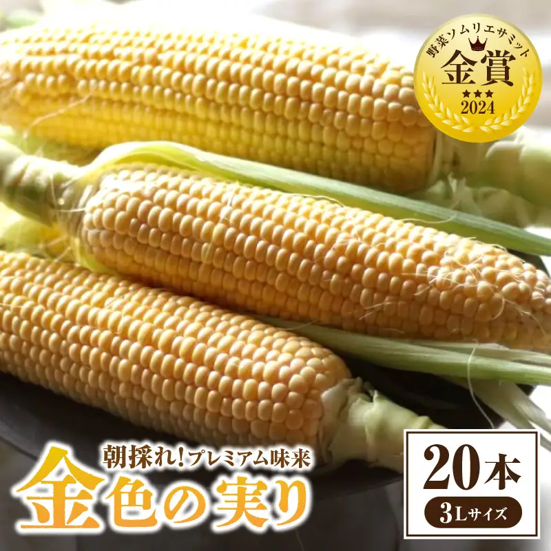 《2027年6月～発送》朝採れ!プレミアム味来～金色の実り～20本・S066-200