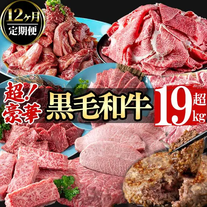 【定期便全12回】超豪華！黒毛和牛堪能贅沢定期便！(総重量19kg超) 鹿児島県産 黒毛和牛 和牛 肉 牛肉 国産 九州産 鹿児島県産 焼肉 BBQ 日本一 ランキング 人気 A4 A5 ステーキ 切り落とし ハンバーグ カルビ ミスジ 訳あり t0365-001